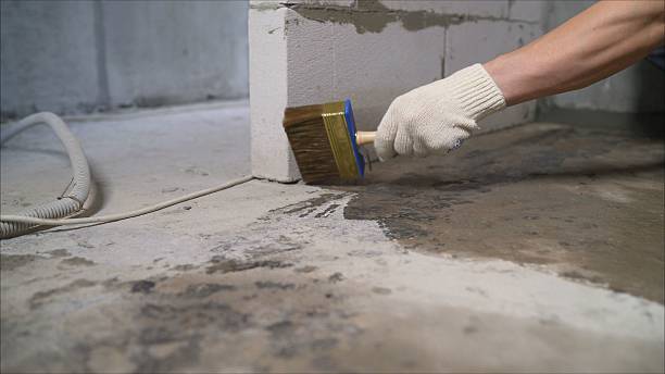 Top rated local Basement Waterproofing specialists in Church Hill, TN